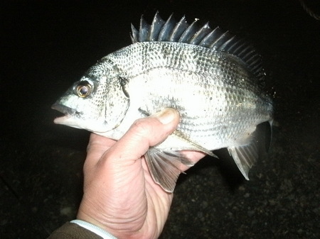 GEDC0038.JPG