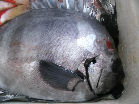 GEDC3765.JPG