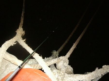GEDC4727.JPG