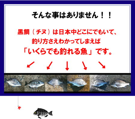 untitled.bmp