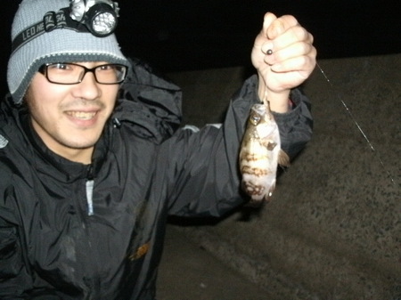 010.JPG