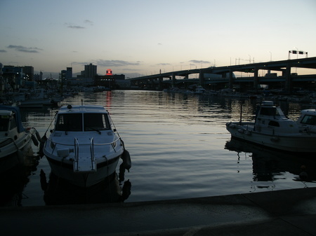 画像 235.jpg
