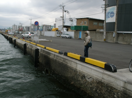 画像 253.jpg