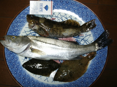 画像 298.jpg