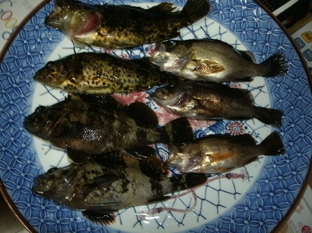 画像 365.jpg