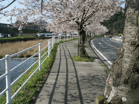 画像 382.jpg