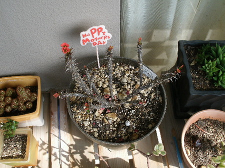 画像 457.jpg