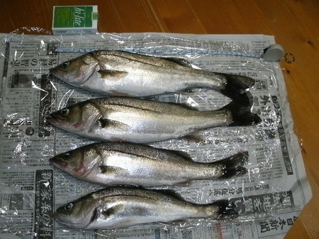 画像 537.jpg