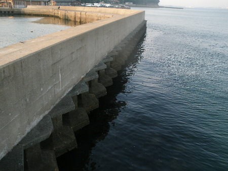 画像 575.jpg