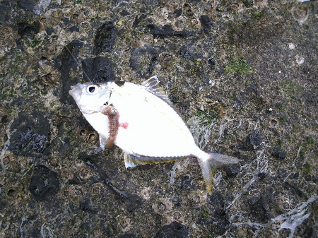 画像 596.jpg