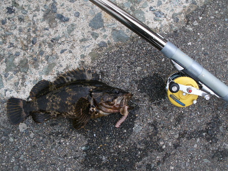 画像 704.jpg