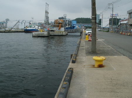 画像 736.jpg