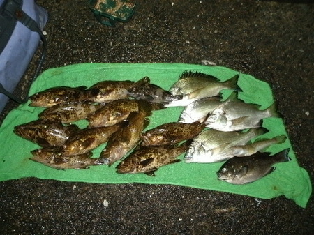画像 900.jpg