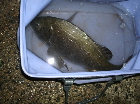 画像 910.jpg