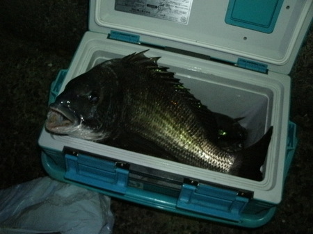 画像 915.jpg