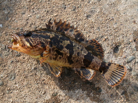 GEDC3018.JPG