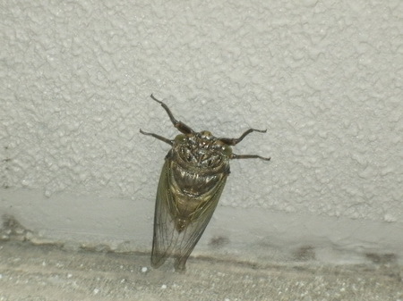 GEDC3464.JPG