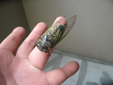 GEDC3483.JPG