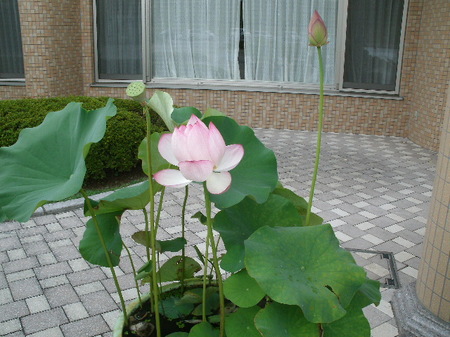 GEDC3506.JPG