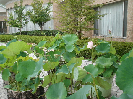 GEDC3508.JPG