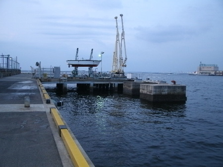 GEDC4651.JPG