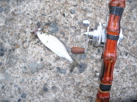 GEDC5068.JPG