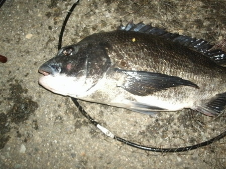 GEDC5077.JPG