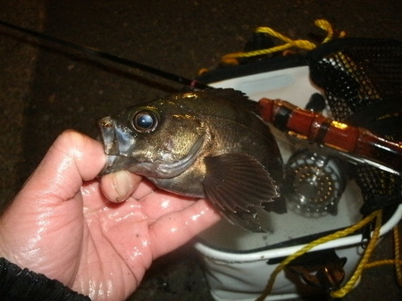 GEDC7084.jpg