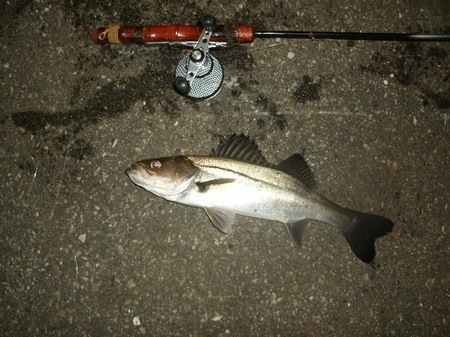 GEDC7132.jpg